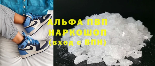 СК Зерноград