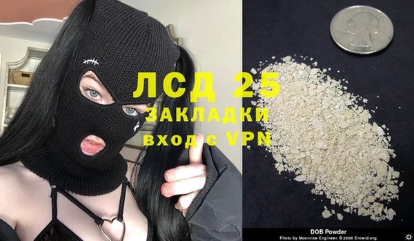 СК Зерноград