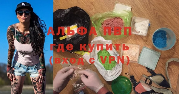 СК Зерноград