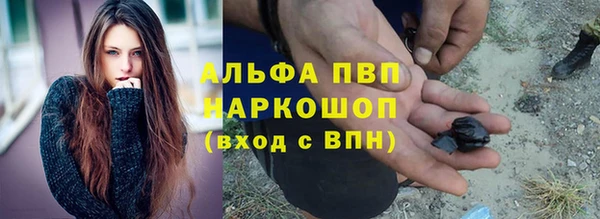 СК Зерноград