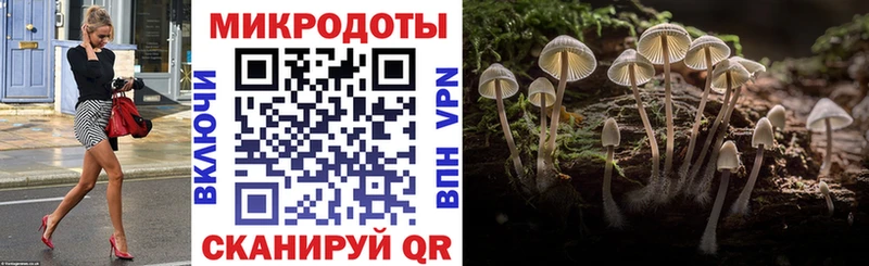 Купить  Белоярский  Псилоцибиновые грибы прущие грибы 